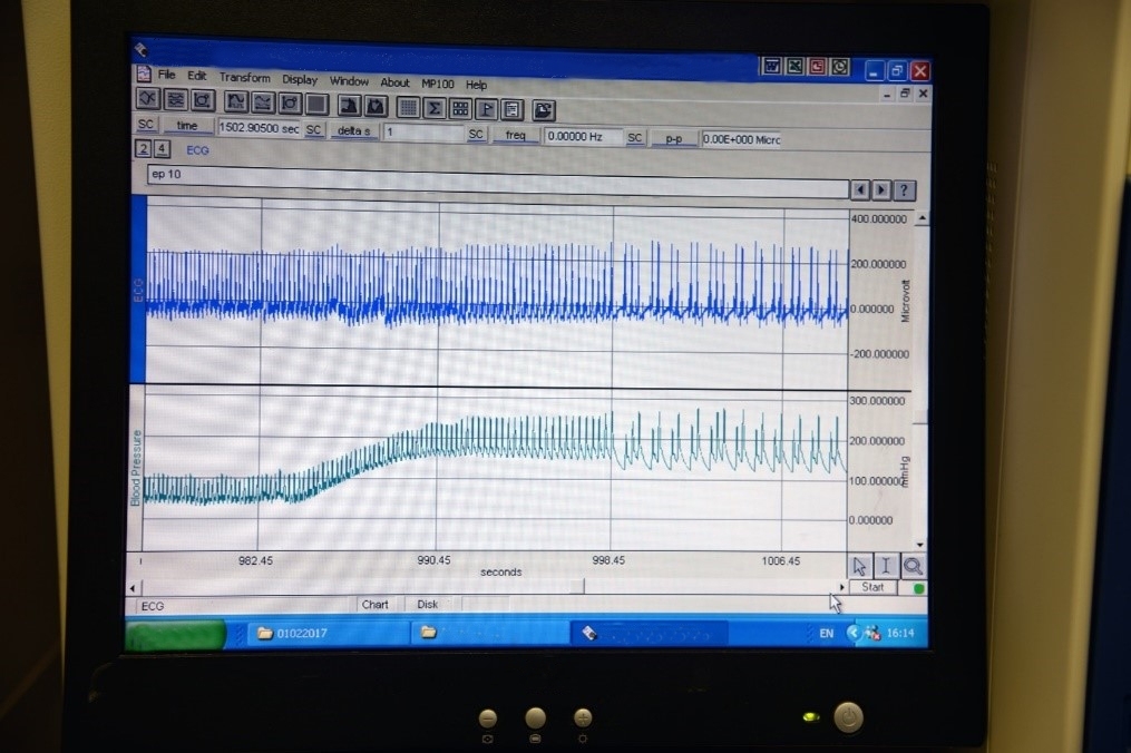 Electrocardiogram and blood pressure evaluation in rodents 