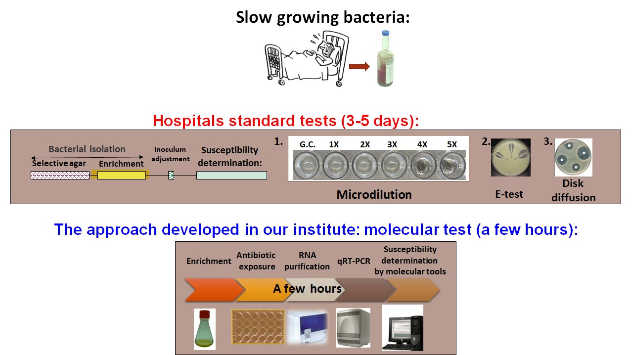 Rapid antibiotics susceptibility test using moleculars biomarkers